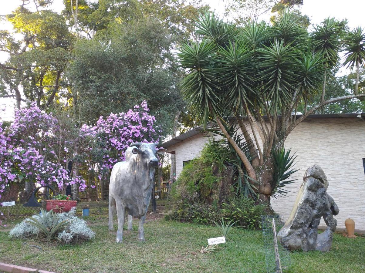 Pousada Juriti - Eco Hotel São Roque Exterior photo